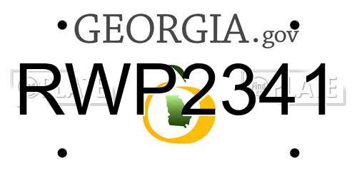 RWP2341 Georgia License Plate