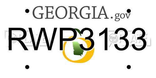 RWP3133 Georgia License Plate