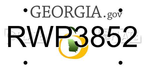 RWP3852 Georgia License Plate