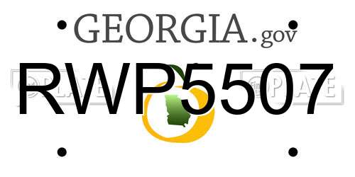 RWP5507 Georgia License Plate