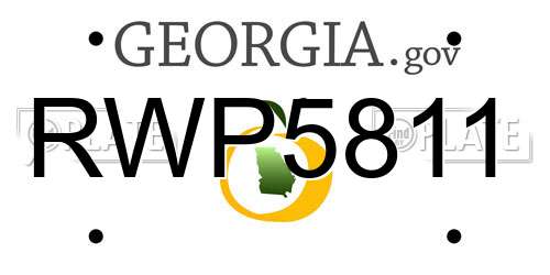 RWP5811 Georgia License Plate