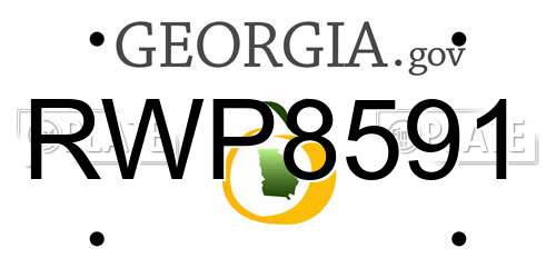 RWP8591 Georgia License Plate