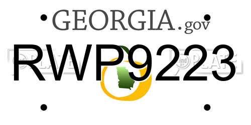 RWP9223 Georgia License Plate