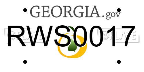 RWS0017 Georgia License Plate