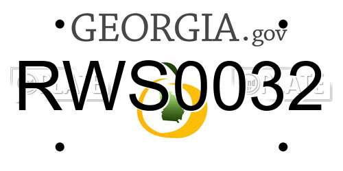RWS0032 Georgia License Plate