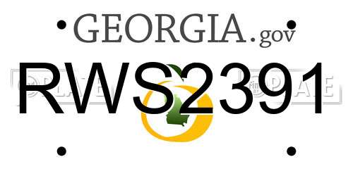 RWS2391 Georgia License Plate