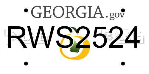 RWS2524 Georgia License Plate