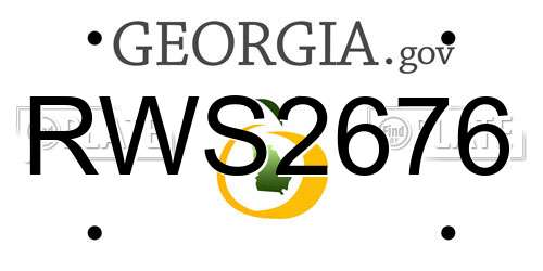 RWS2676 Georgia License Plate