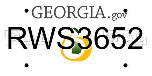 RWS3652 Georgia License Plate