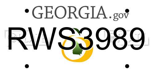RWS3989 Georgia License Plate