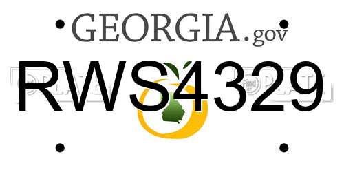 RWS4329 Georgia License Plate