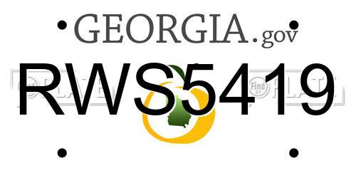 RWS5419 Georgia License Plate