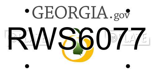 RWS6077 Georgia License Plate
