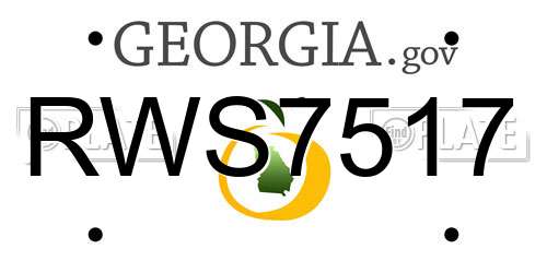 RWS7517 Georgia License Plate