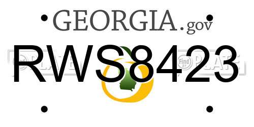 RWS8423 Georgia License Plate