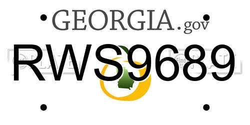 RWS9689 Georgia License Plate