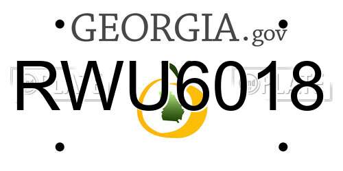 RWU6018 Georgia License Plate