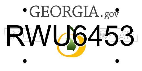 RWU6453 Georgia License Plate