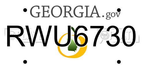 RWU6730 Georgia License Plate