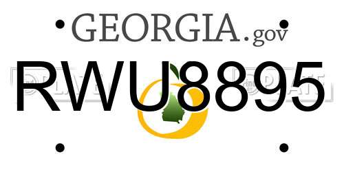 RWU8895 Georgia License Plate