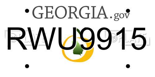 RWU9915 Georgia License Plate