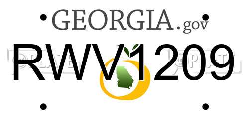 RWV1209 Georgia License Plate