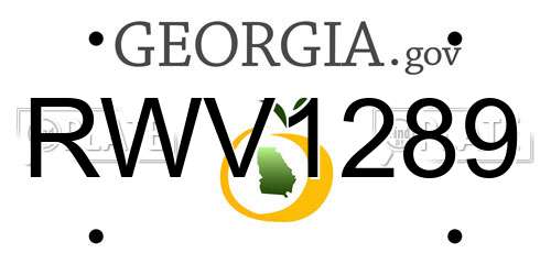 RWV1289 Georgia License Plate