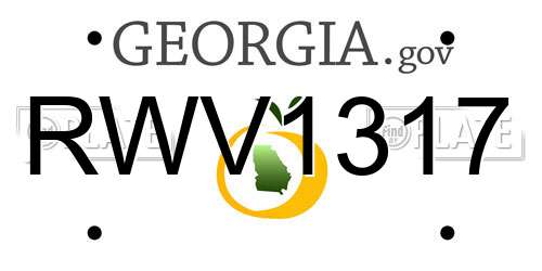 RWV1317 Georgia License Plate