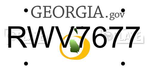 RWV7677 Georgia License Plate
