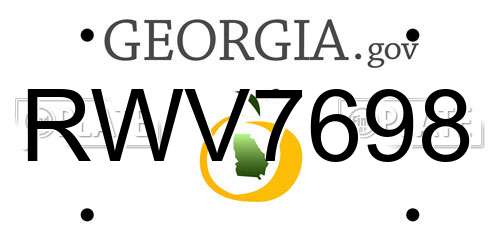 RWV7698 Georgia License Plate