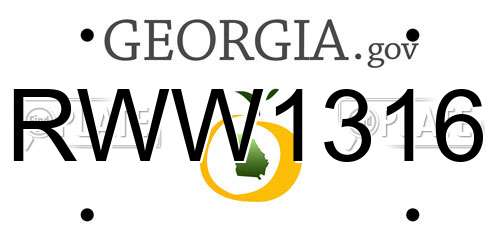 RWW1316 Georgia License Plate