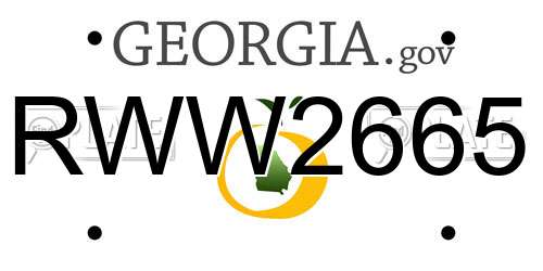 RWW2665 Georgia License Plate