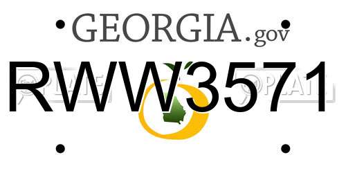 RWW3571 Georgia License Plate