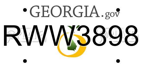 RWW3898 Georgia License Plate