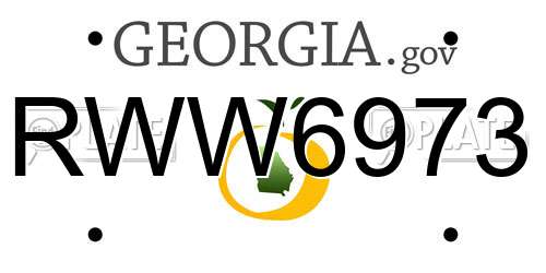 RWW6973 Georgia License Plate