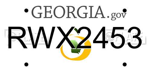 RWX2453 Georgia License Plate