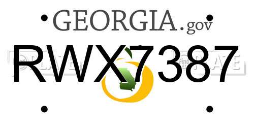 RWX7387 Georgia License Plate