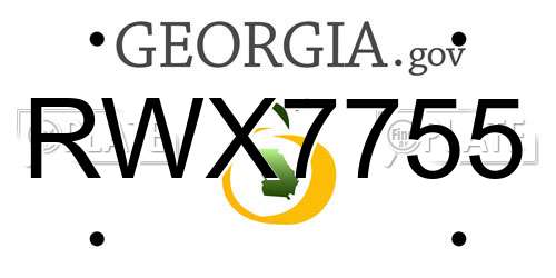 RWX7755 Georgia License Plate