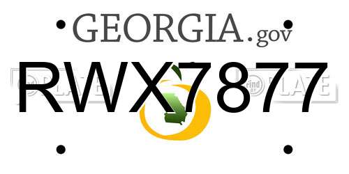 RWX7877 Georgia License Plate