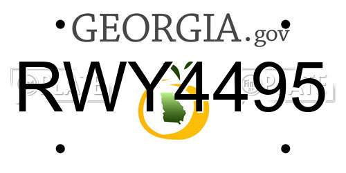 RWY4495 Georgia License Plate