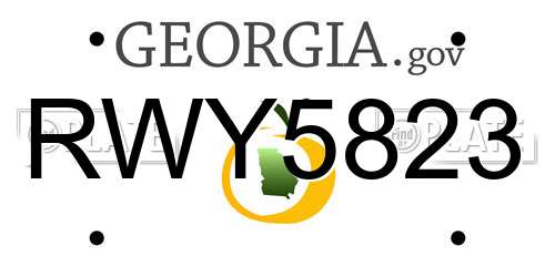 RWY5823 Georgia License Plate