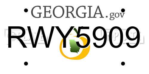 RWY5909 Georgia License Plate