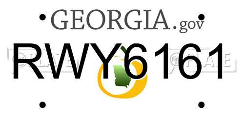 RWY6161 Georgia License Plate
