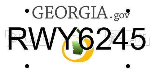 RWY6245 Georgia License Plate