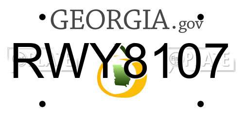 RWY8107 Georgia License Plate