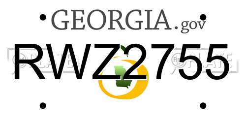 RWZ2755 Georgia License Plate