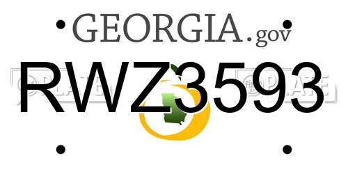 RWZ3593 Georgia License Plate