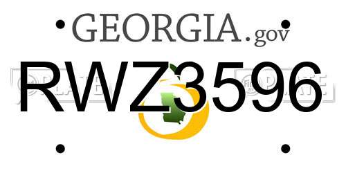 RWZ3596 Georgia License Plate
