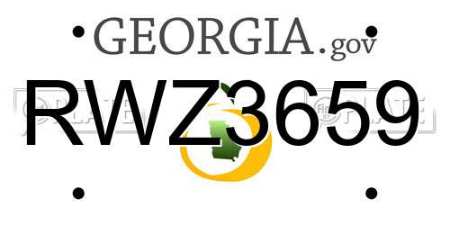 RWZ3659 Georgia License Plate