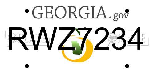 RWZ7234 Georgia License Plate
